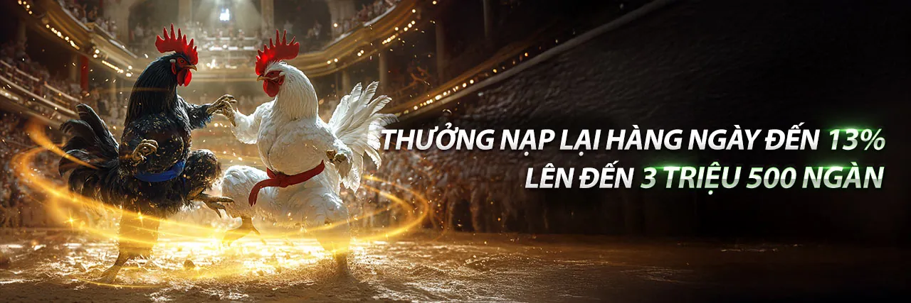 Đá Gà Thomo 27/6 Trận 36